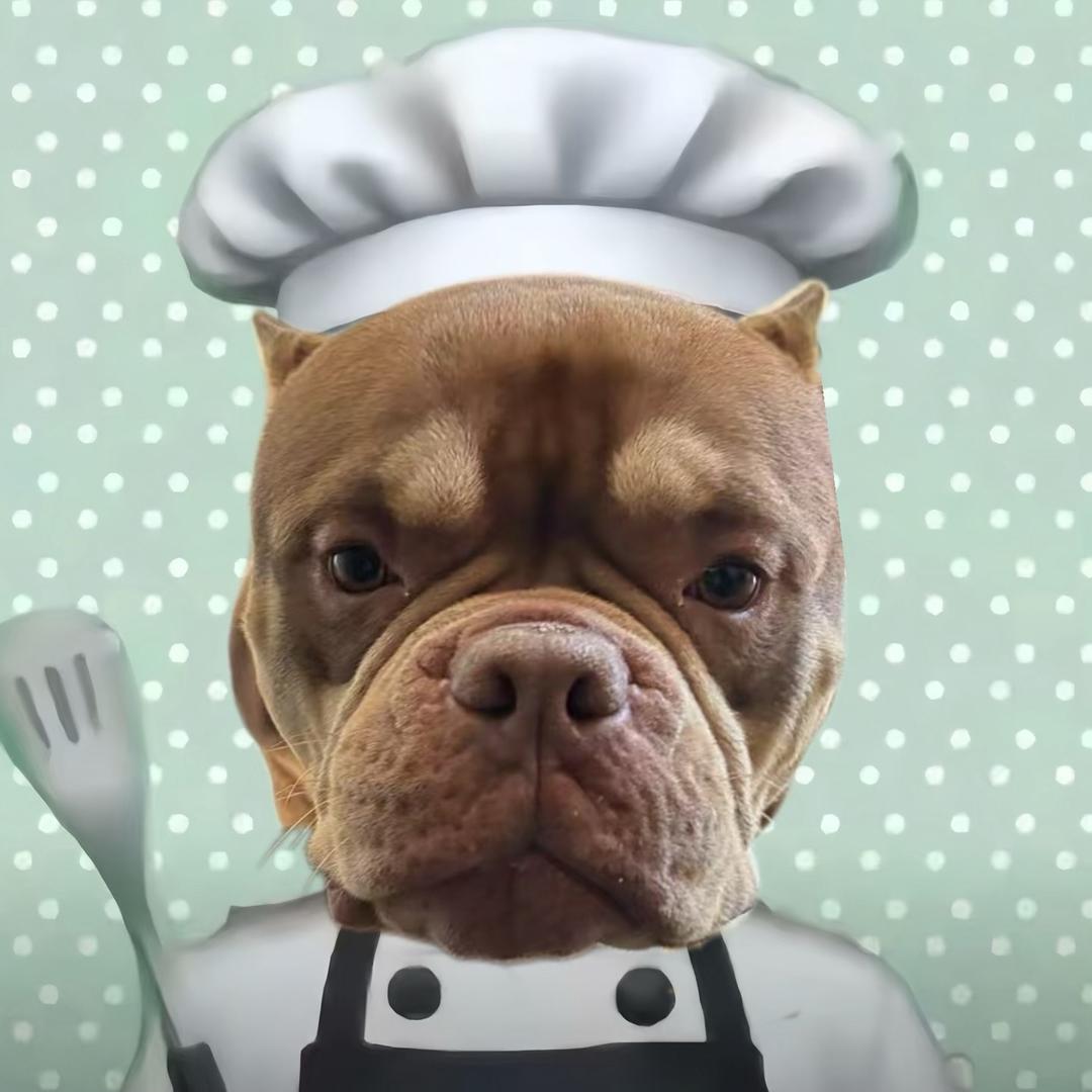 菠萝吹雪暴打梨花诗-