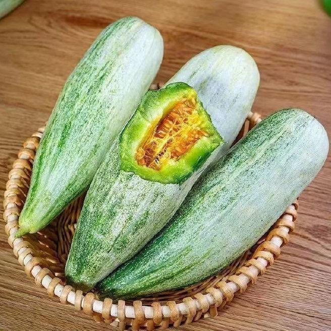 山东羊角蜜直发