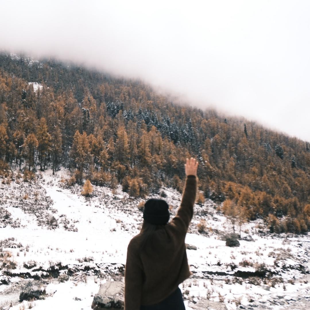 🌈流浪的一只猫