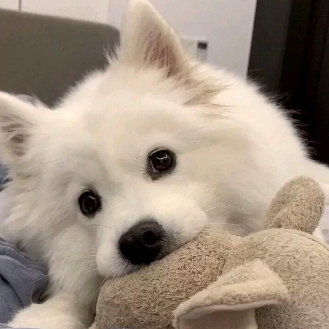 康摆摆⚜️唐钰