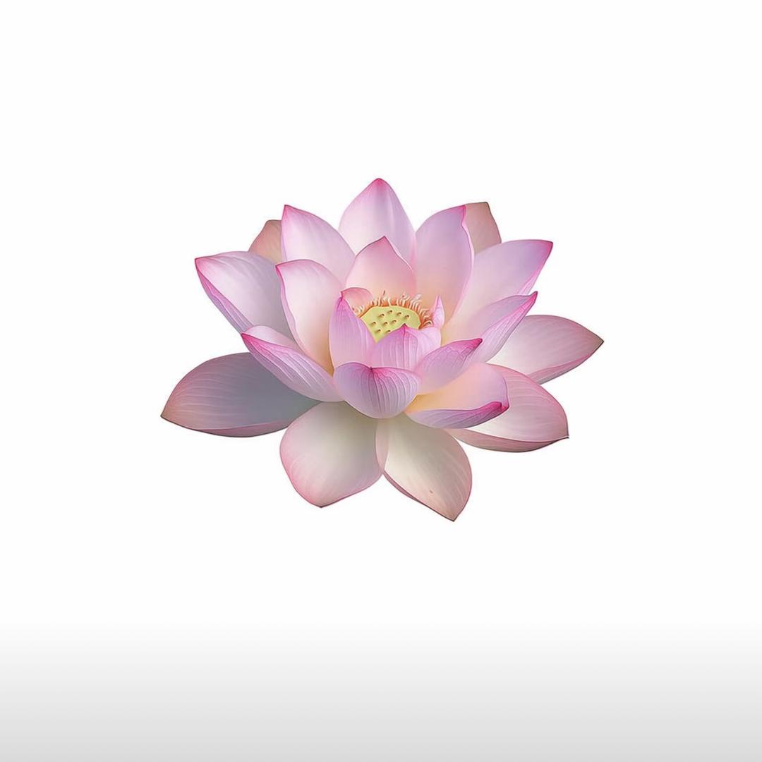 强子.