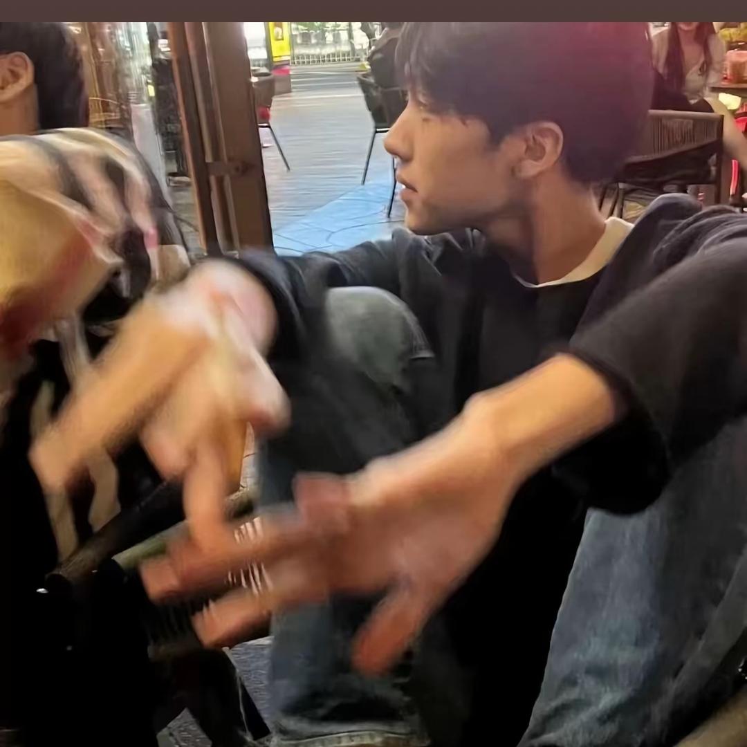 会飞的前男友.