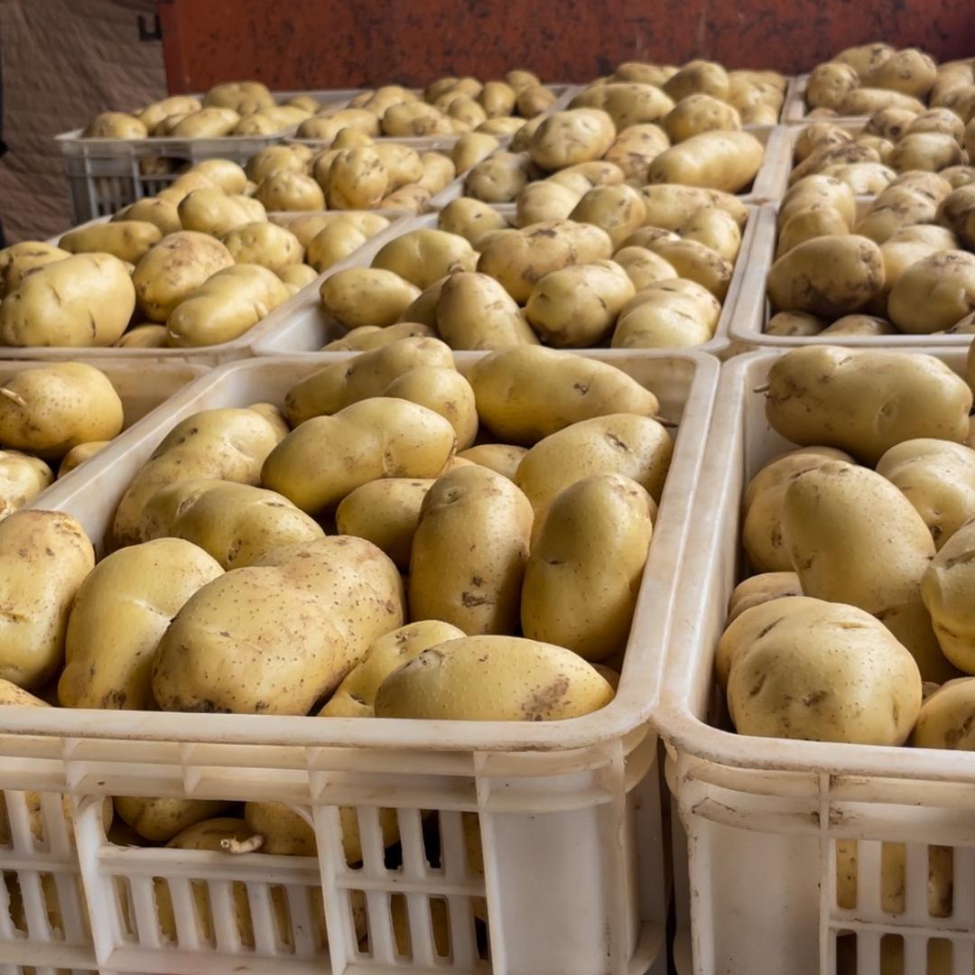 环宇农产品批发购销