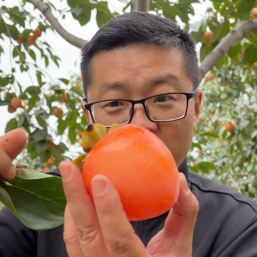 村上果树小时达