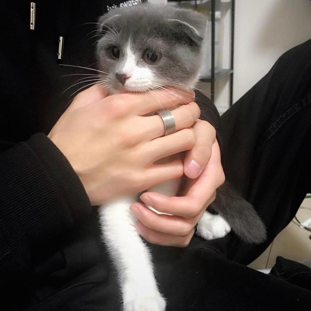 孙菜鱼