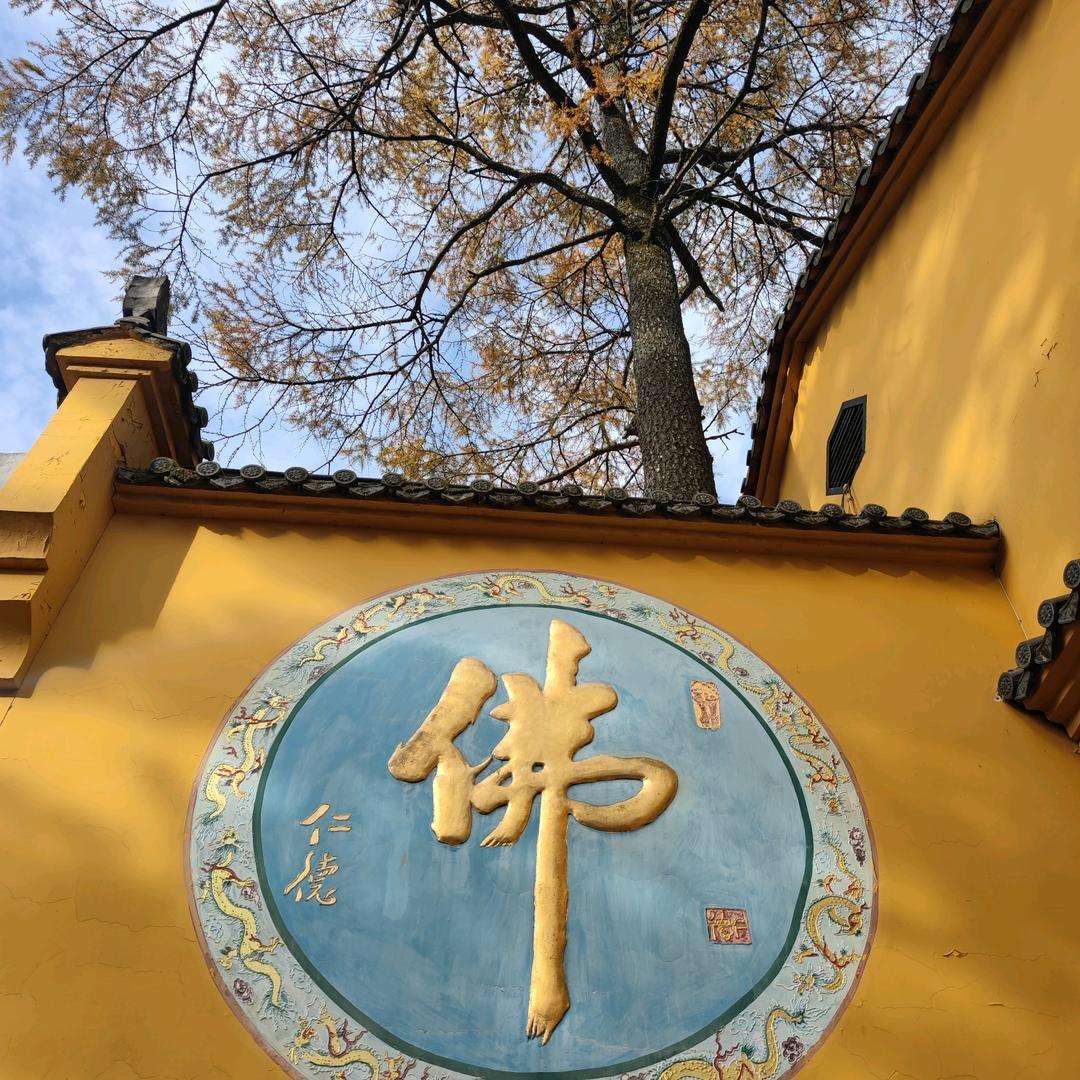 信鸿论子鼠
