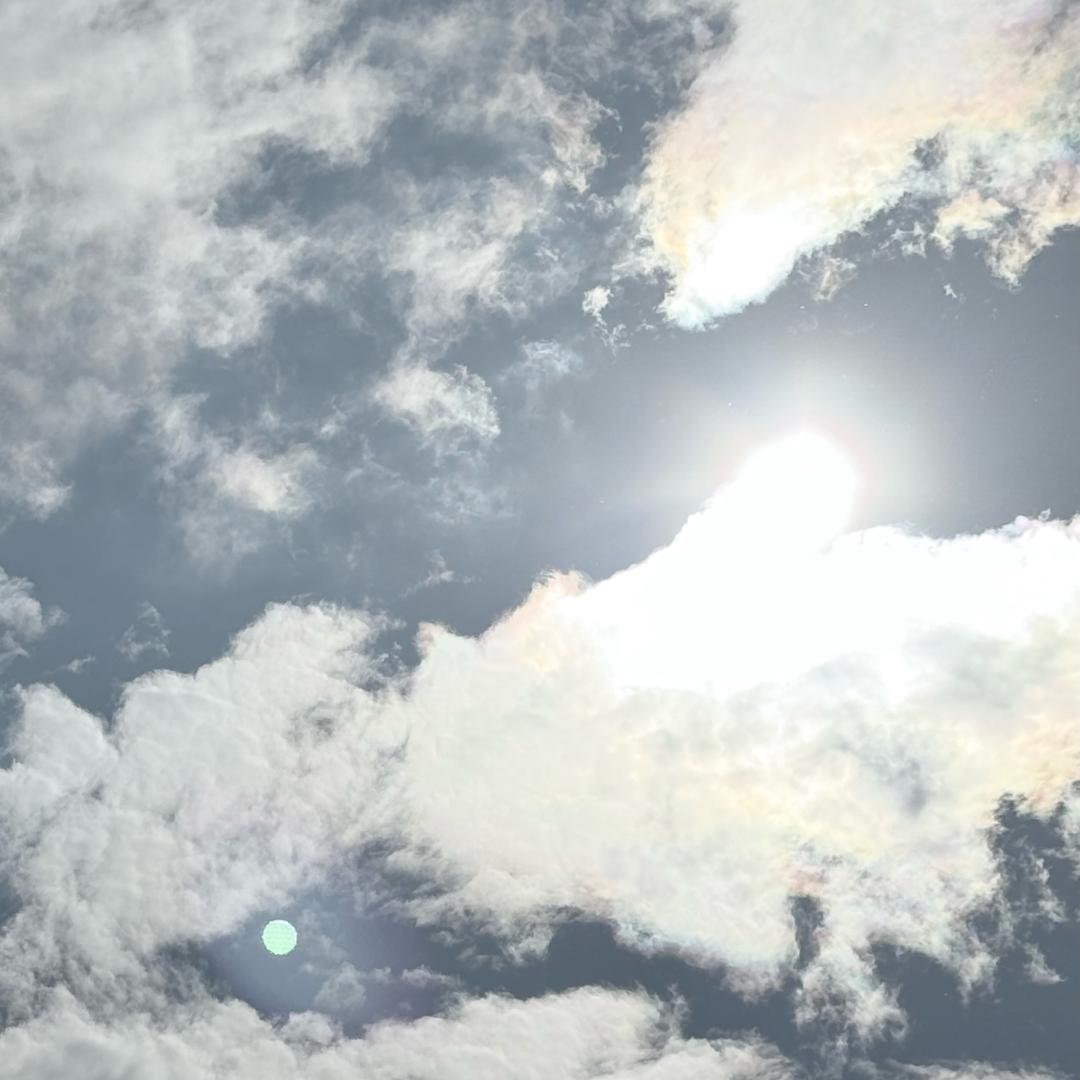 狗血剧之大女主（努力）