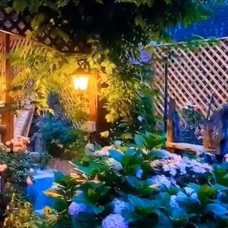 人生一世 草木一秋