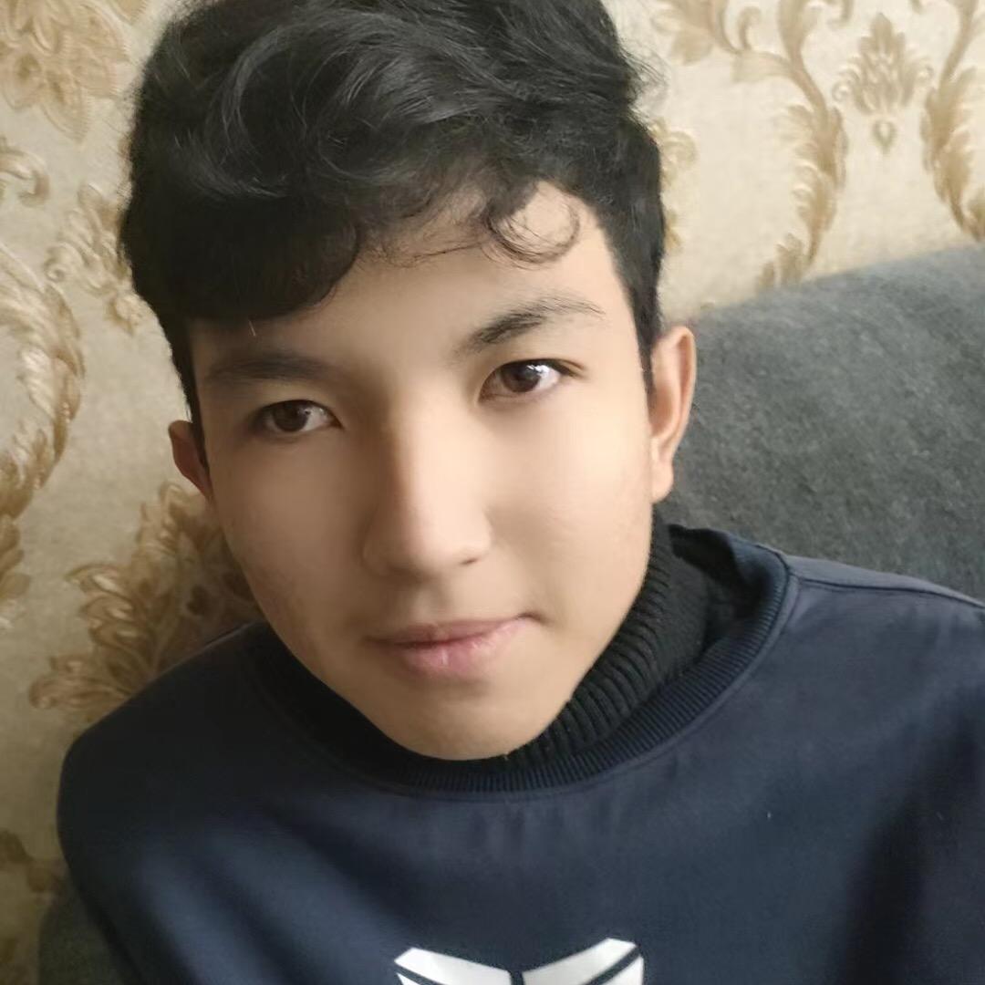 尼加提，图尔贡