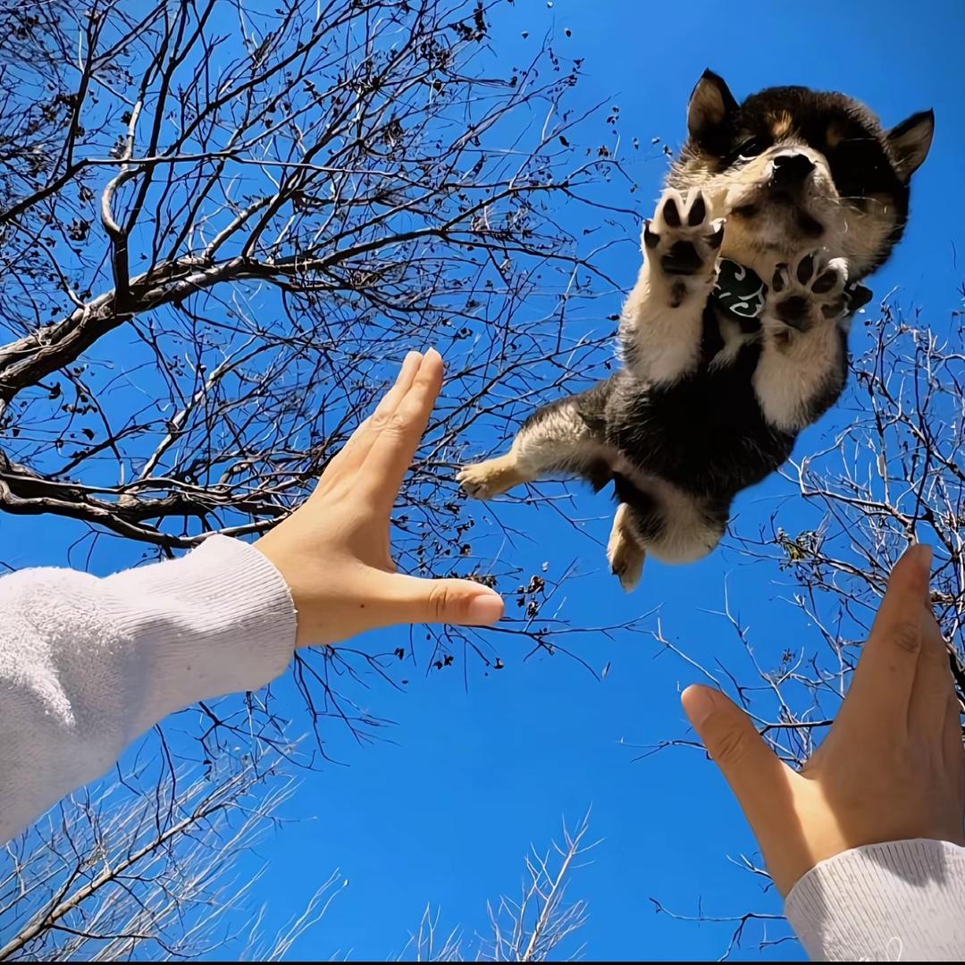 该死的土拨鼠