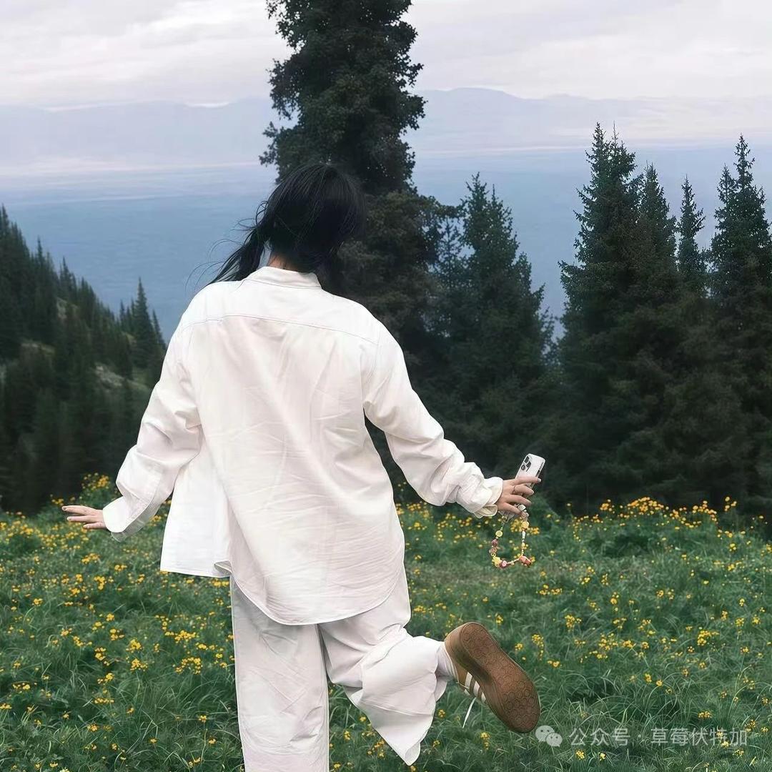 不悲伤不流眼泪烤土豆🥔大人