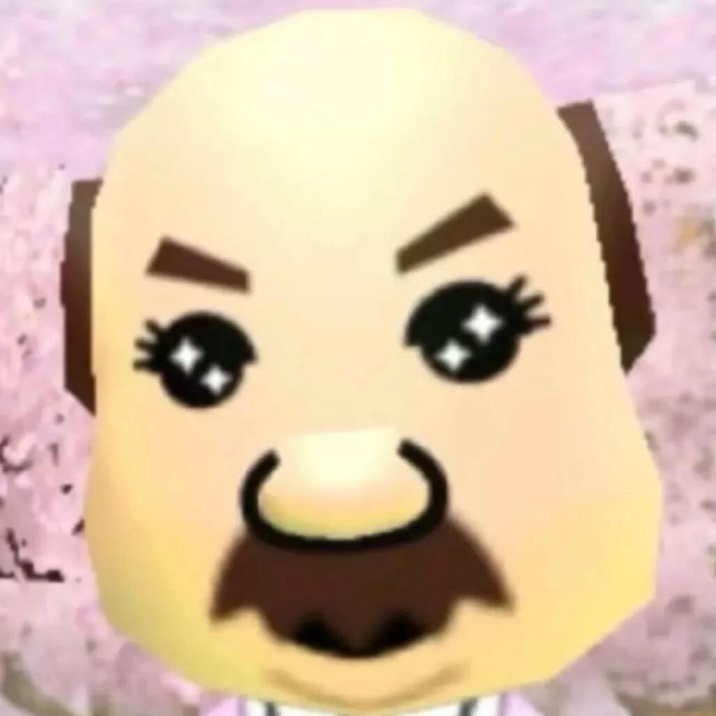 所接月