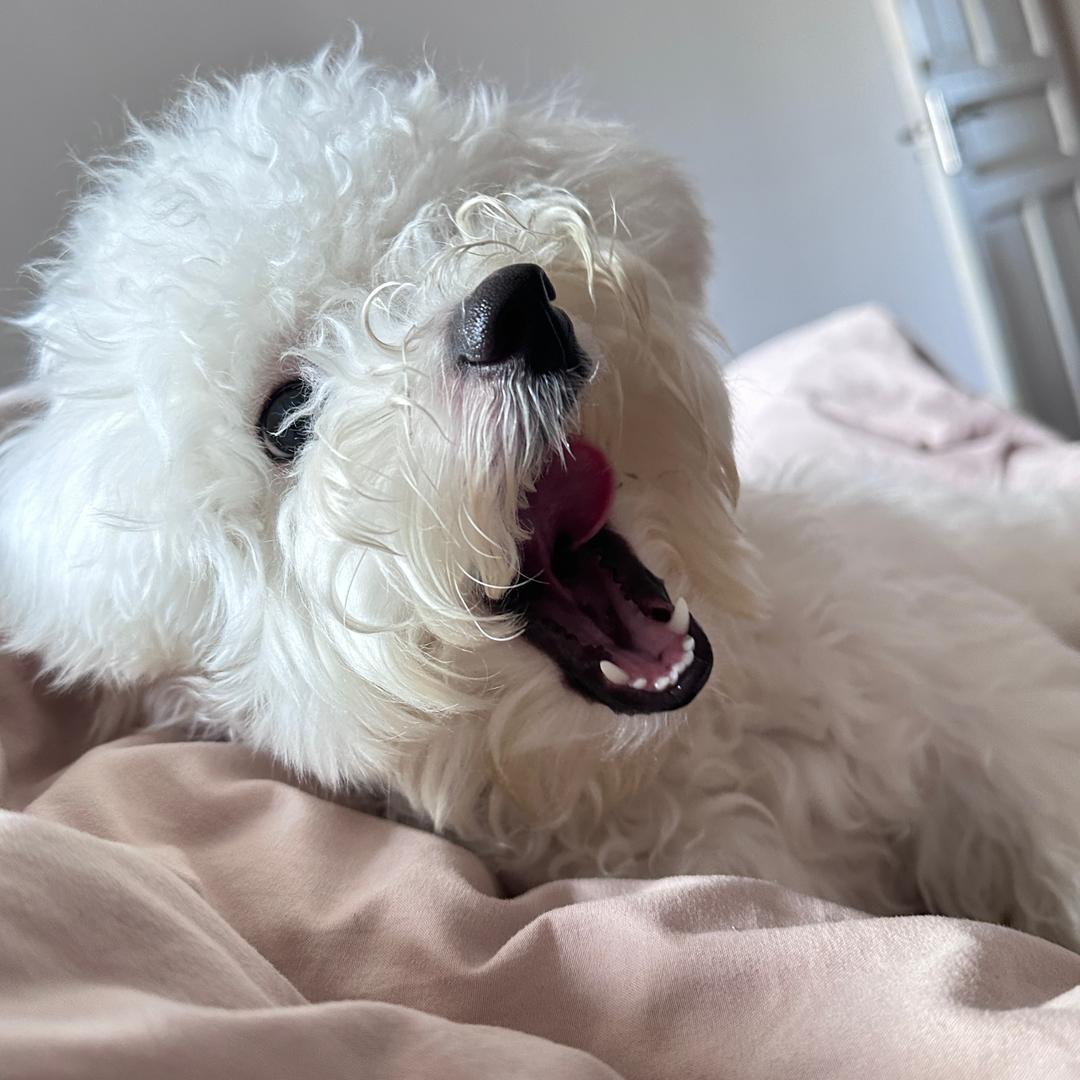 粉色娇嫩你如今几岁了？