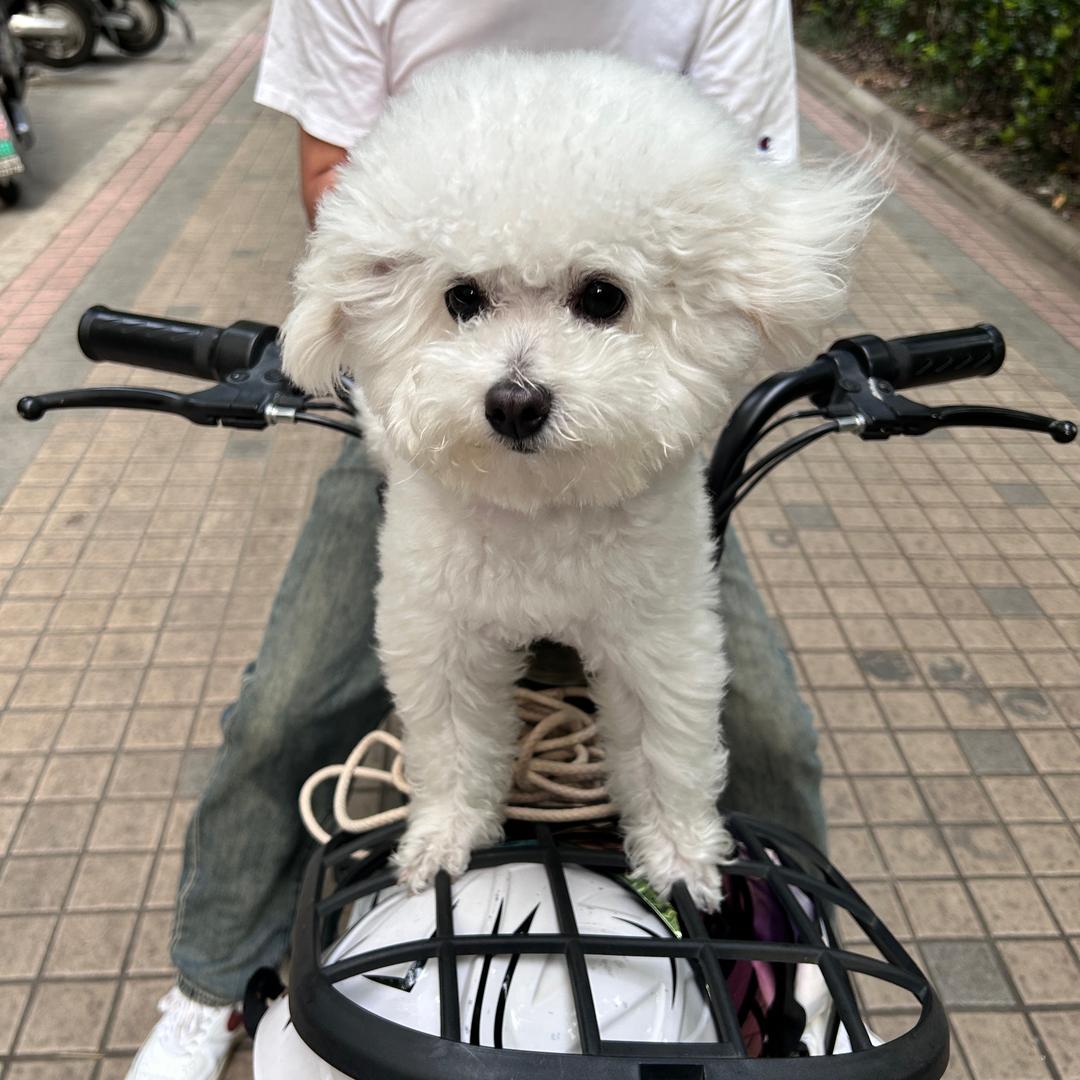 王可乐