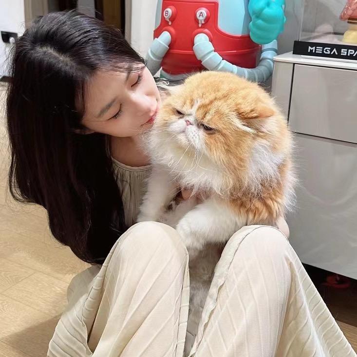 小鱼老师