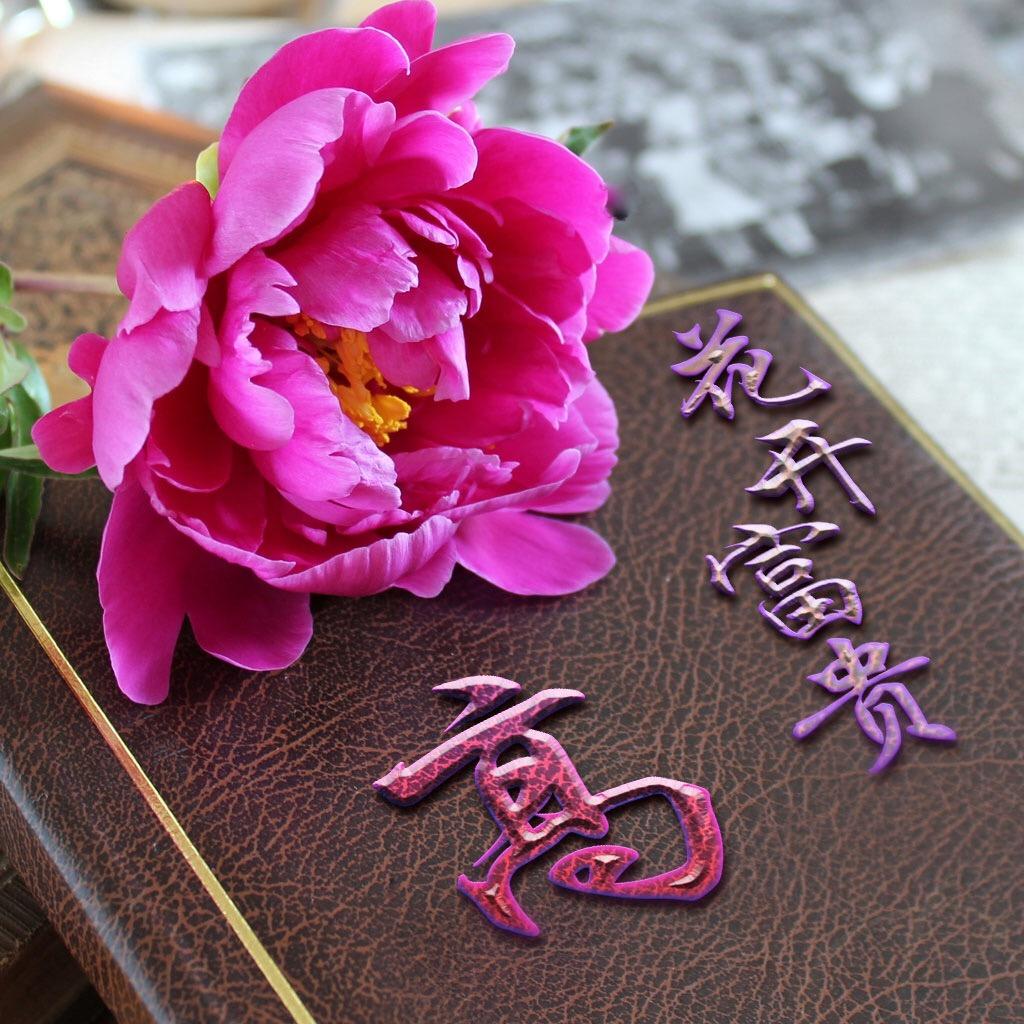 我和老妈的幸福生活