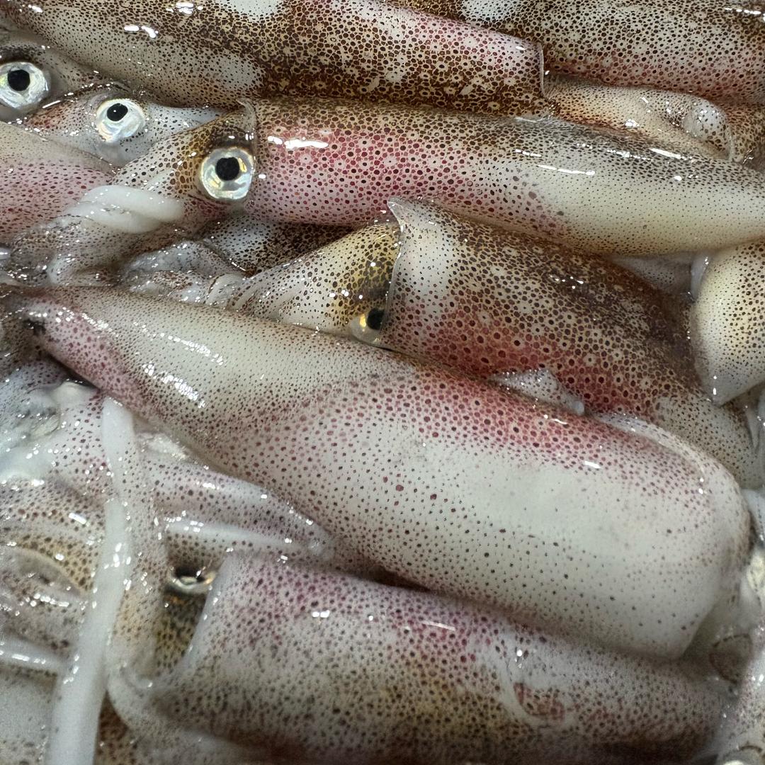 家豪海产品赖赖