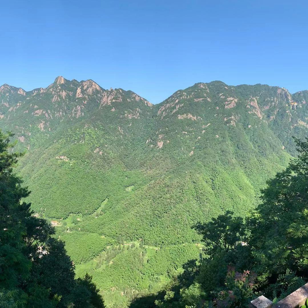 球球