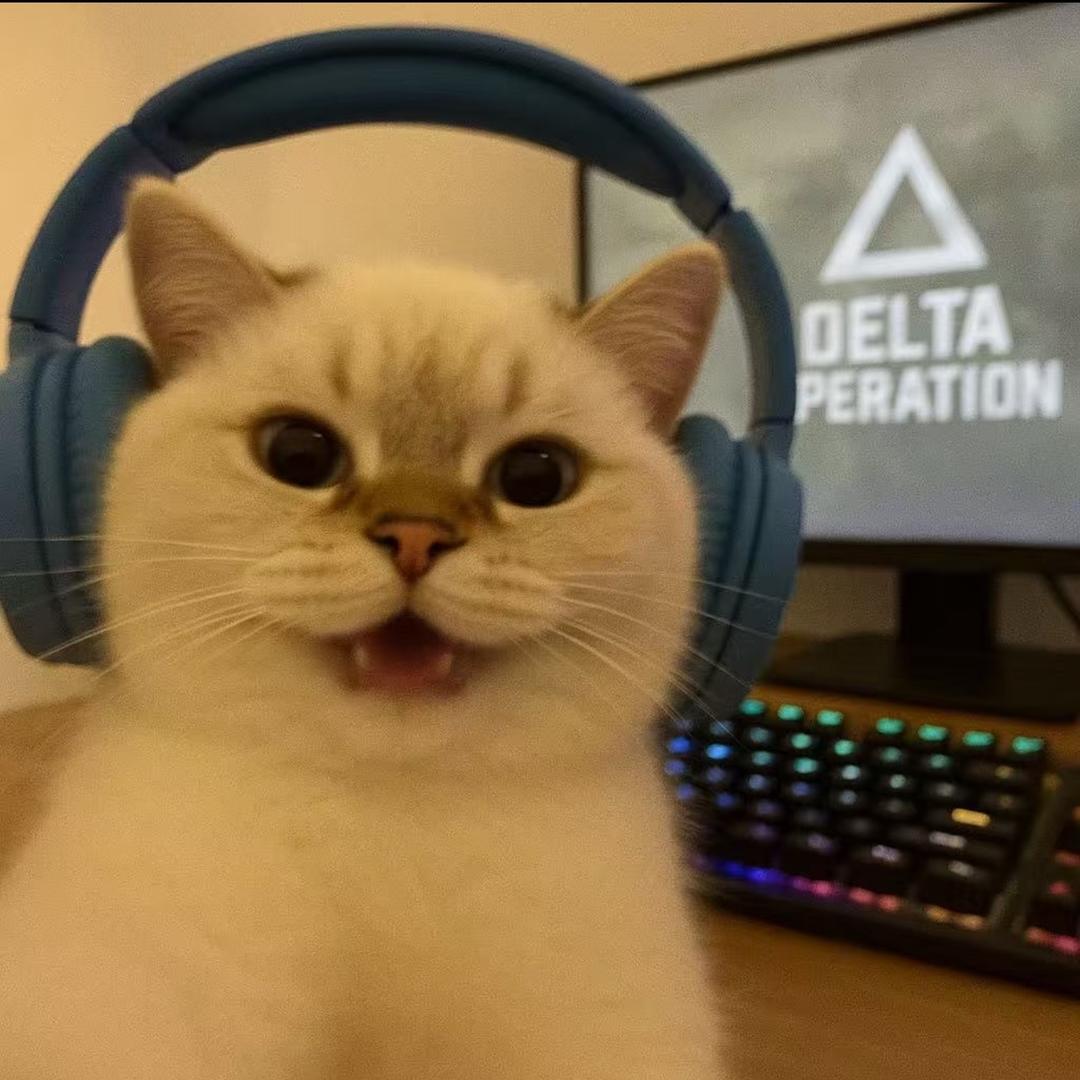 慢羊羊·三角洲