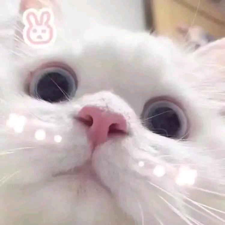 网恋秀牛被录屏