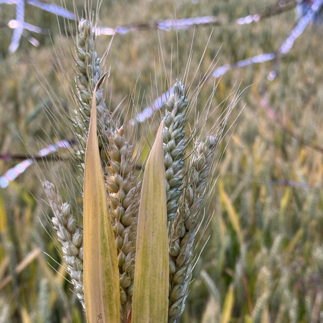 贝小尔女装工厂（美兰亭）