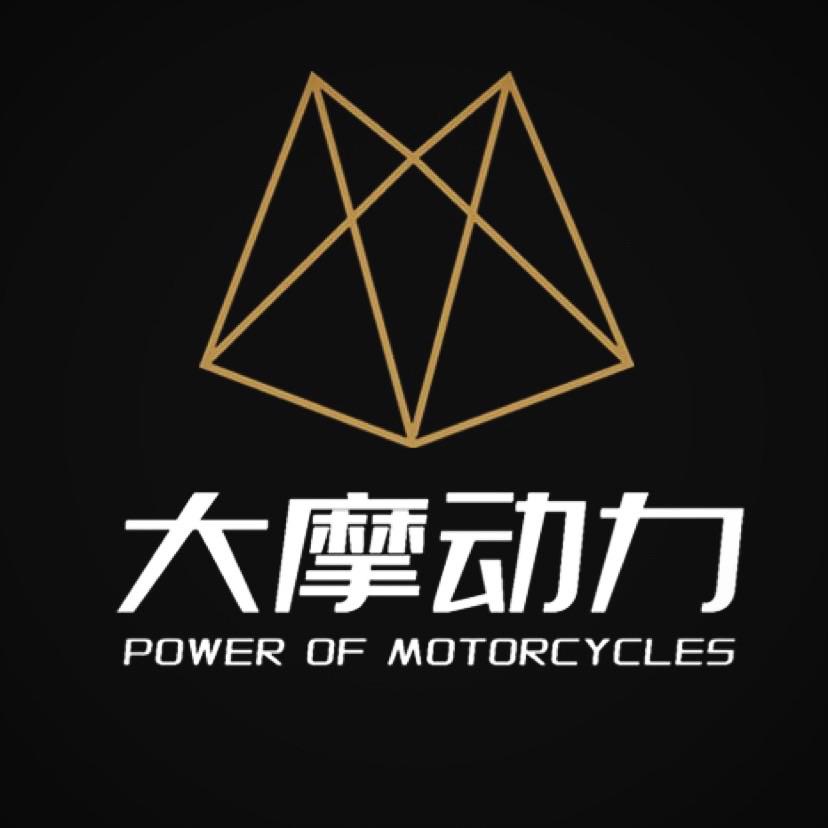 大摩动力