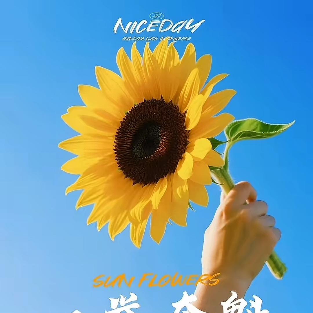 湃豪电商
