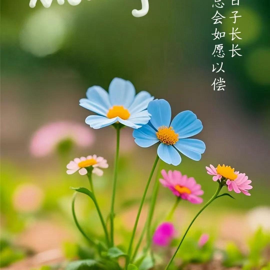 道尽痴情