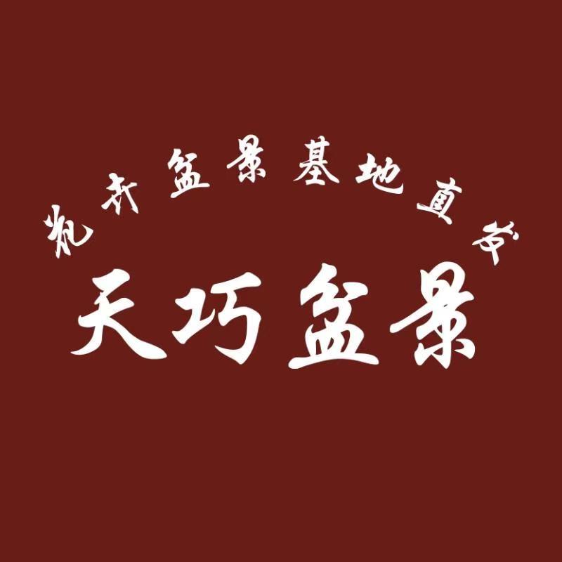 临沂王老根盆景园