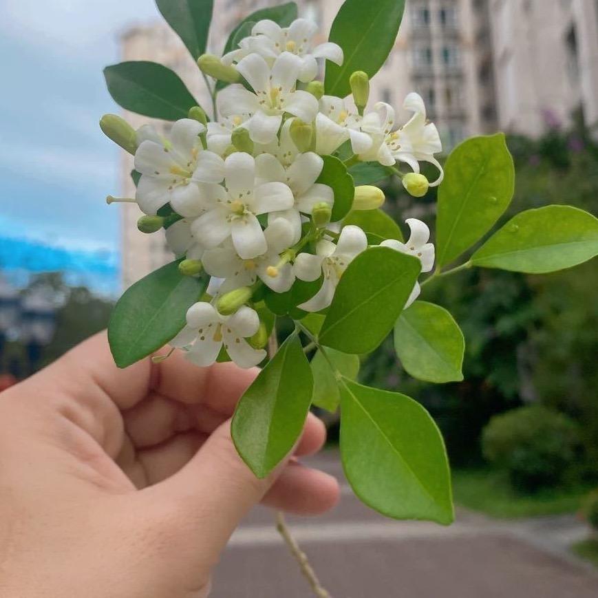 Aྀ、我🧘🏼‍♀️