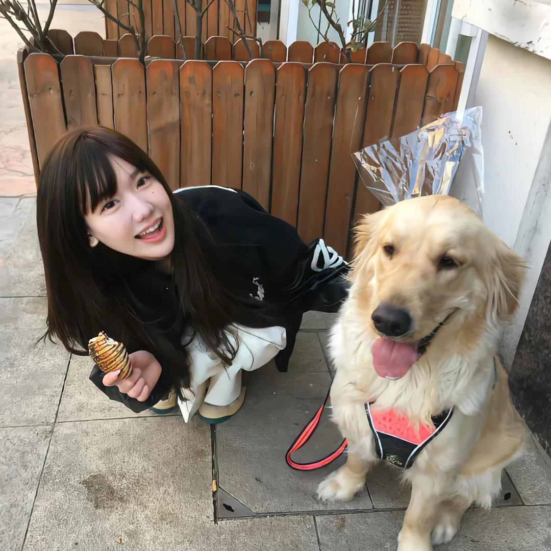 呼噜小鸭