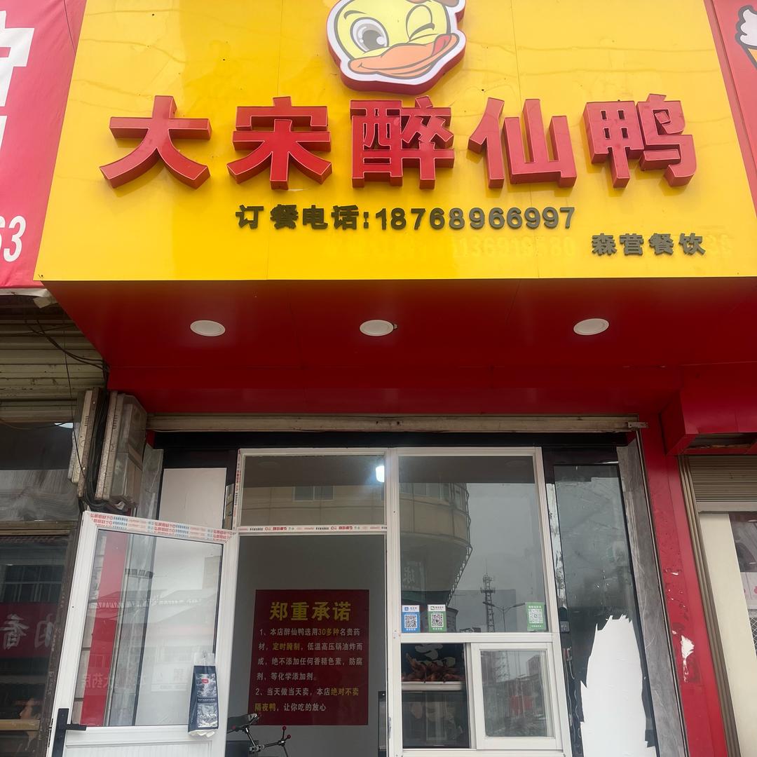 大宋醉仙鸭森营餐饮