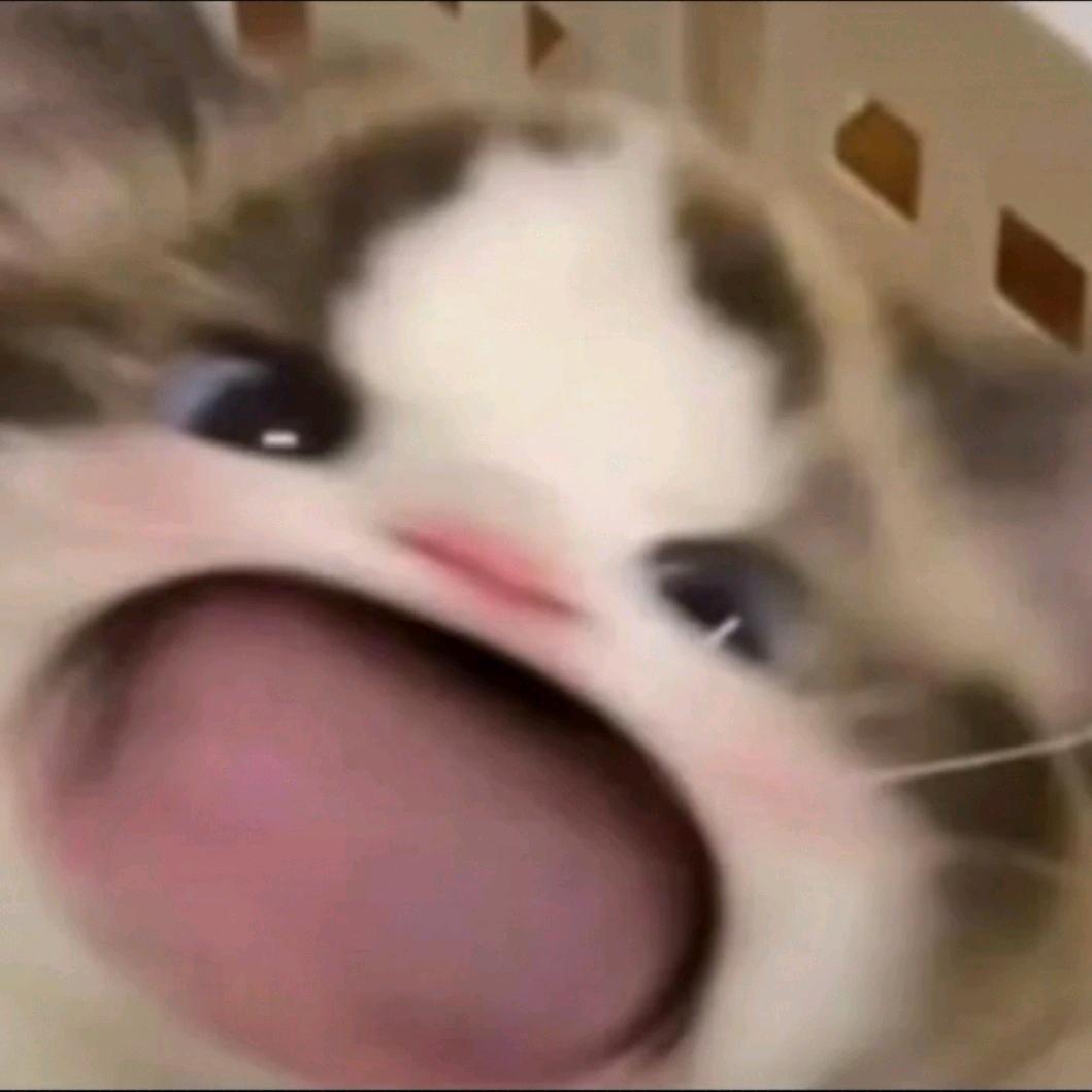 cc🫧