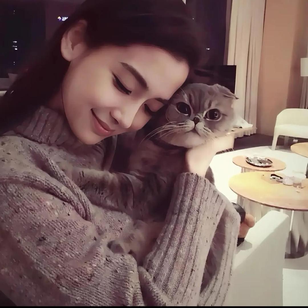又是芋圆