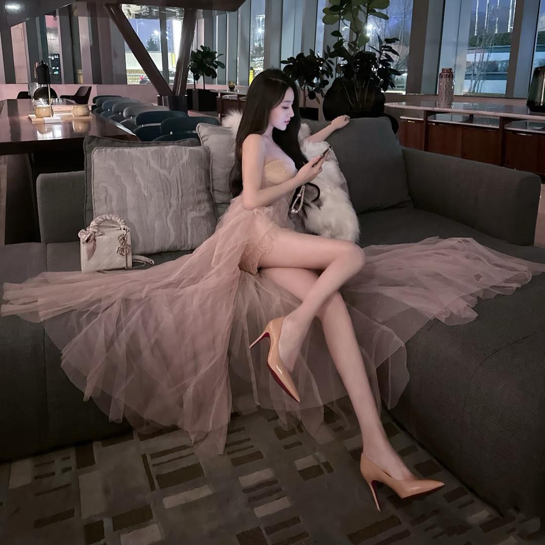 猫的树