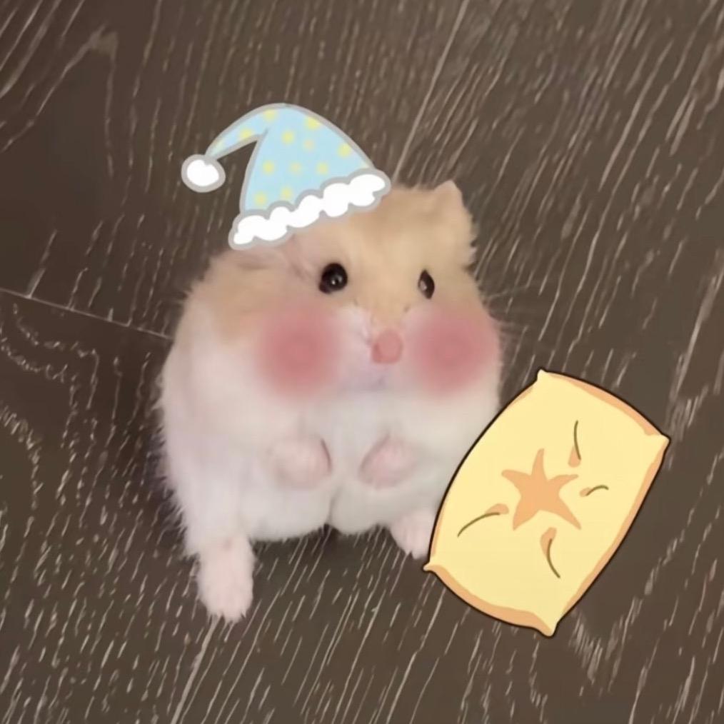 被业绩拿捏的朵～