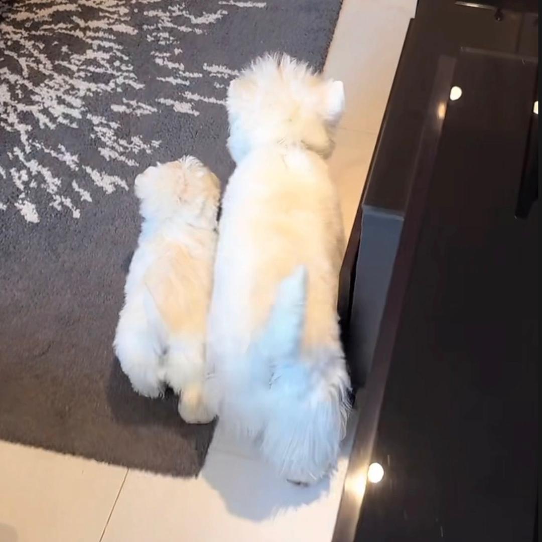 犯困