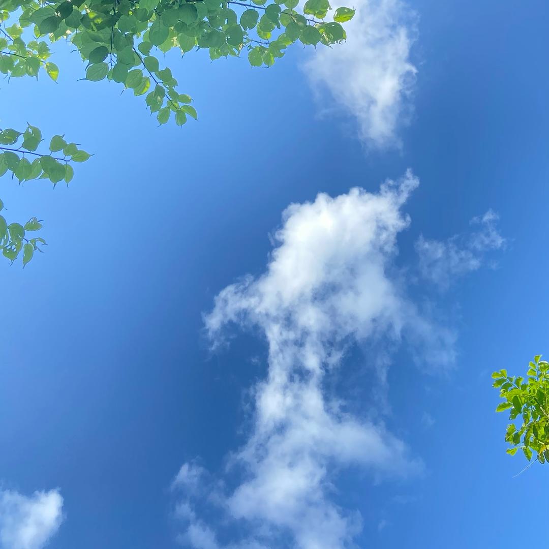 L…