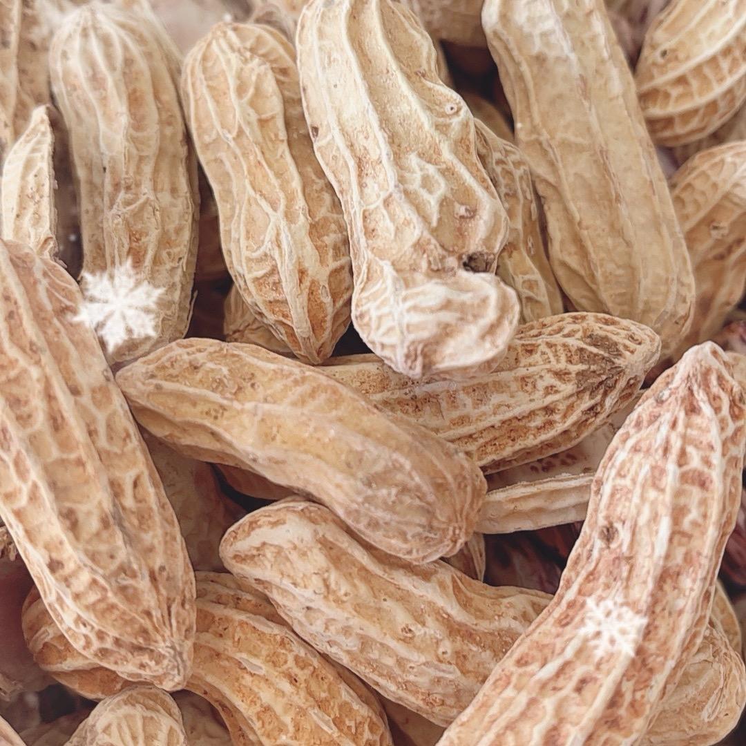 云南七彩花生工场