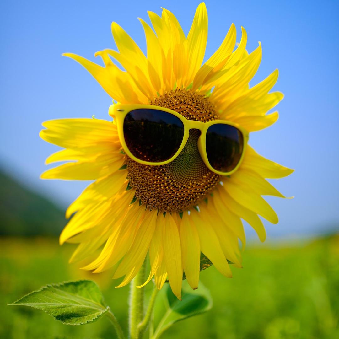 披说科技优品店