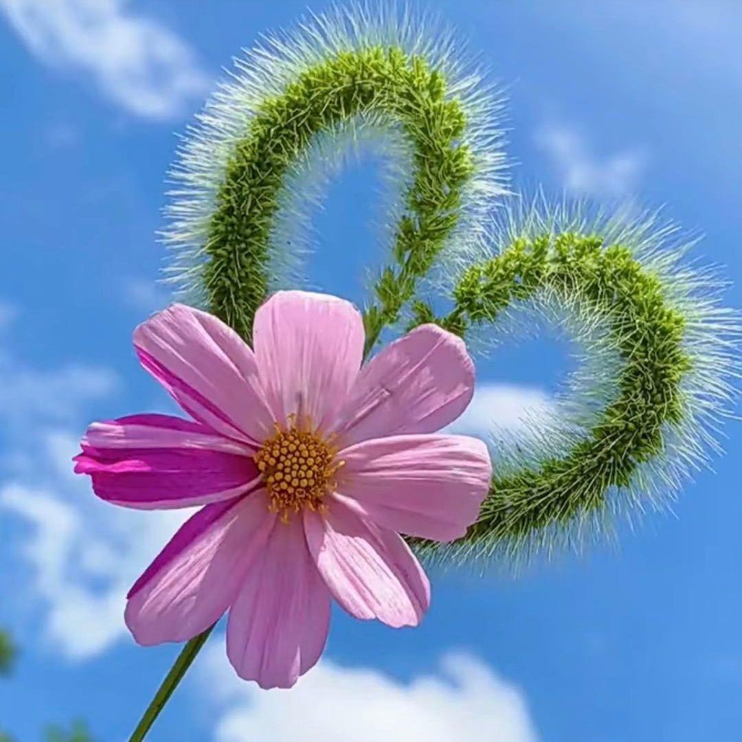 景毅家居生活专营店