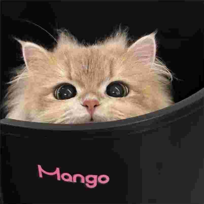 十一中古精品收藏