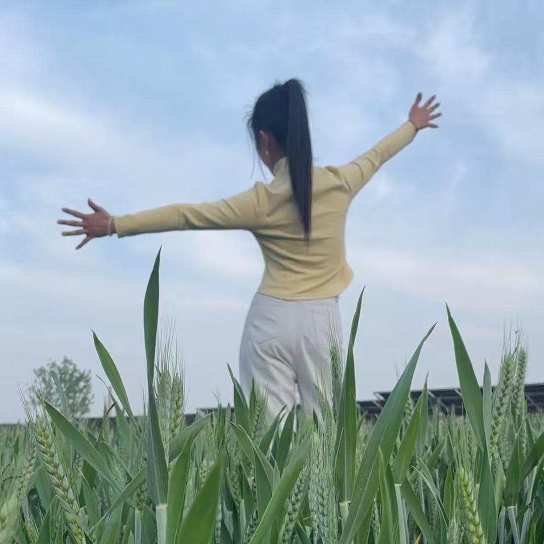 绵阳厂聘【刘姐】