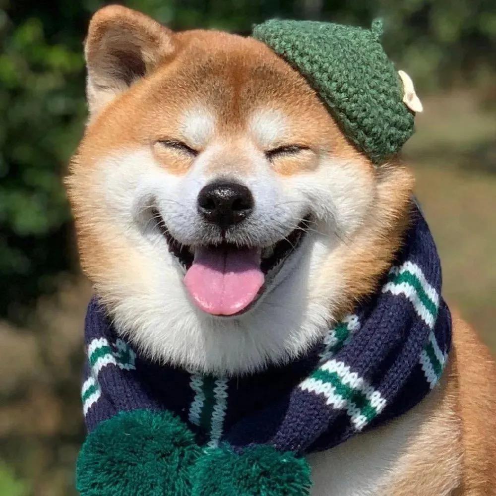 酒酿樱桃