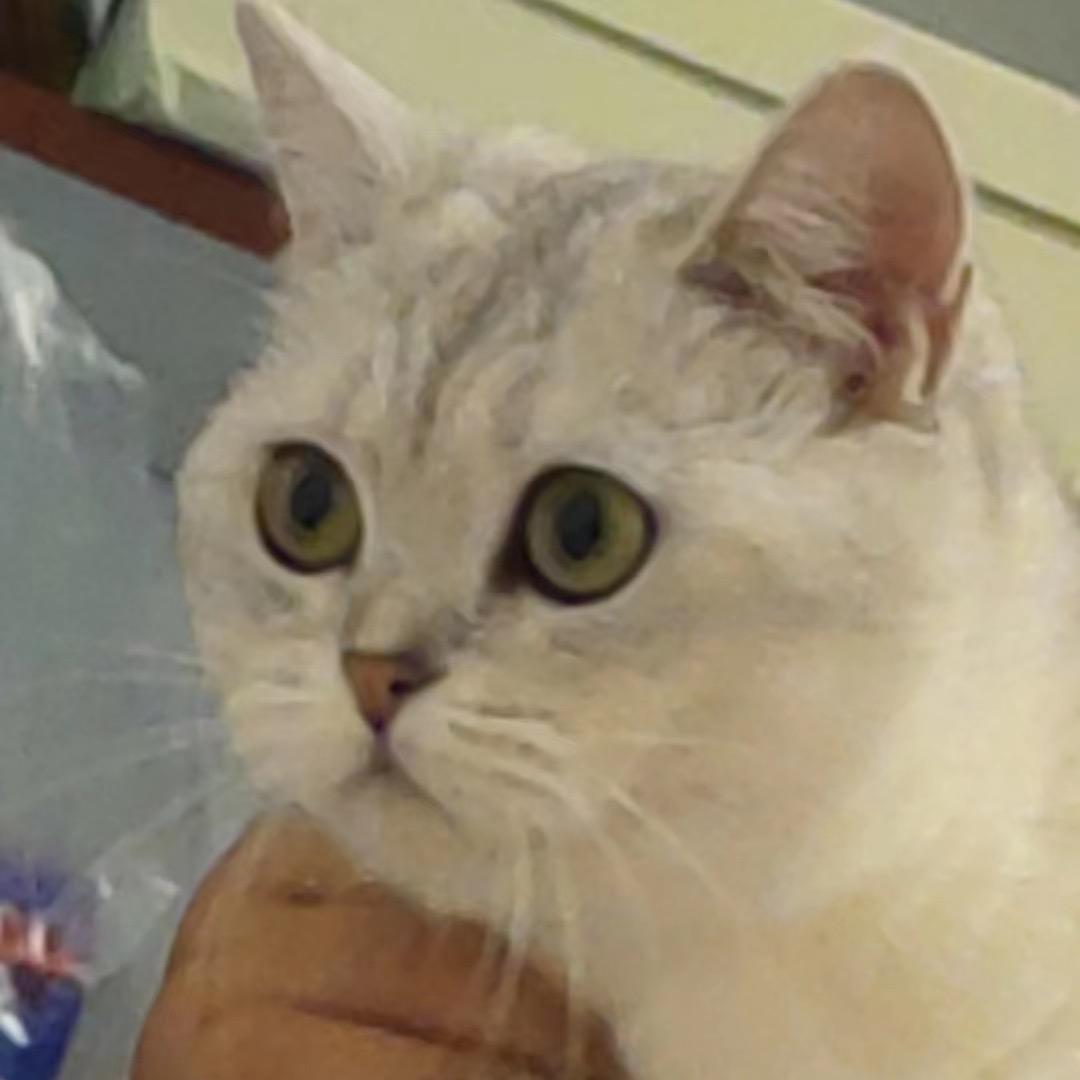 田雅南