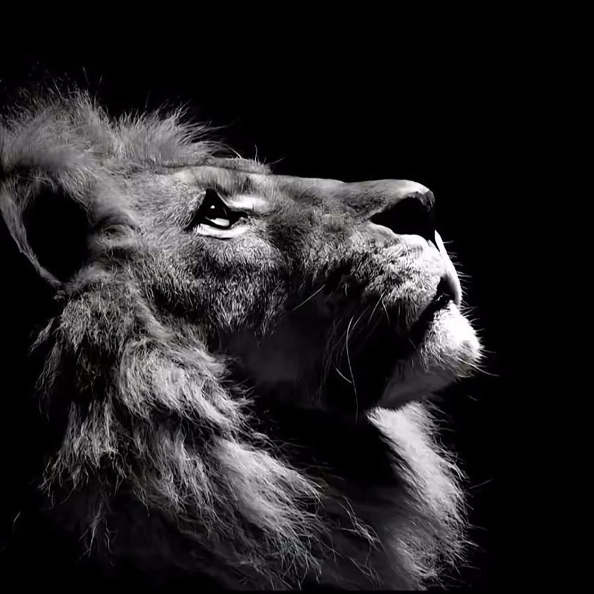 高端定制家具-翘翘的