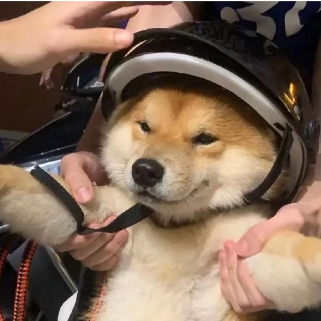 祝暥
