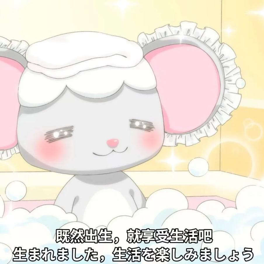 番茄梦女