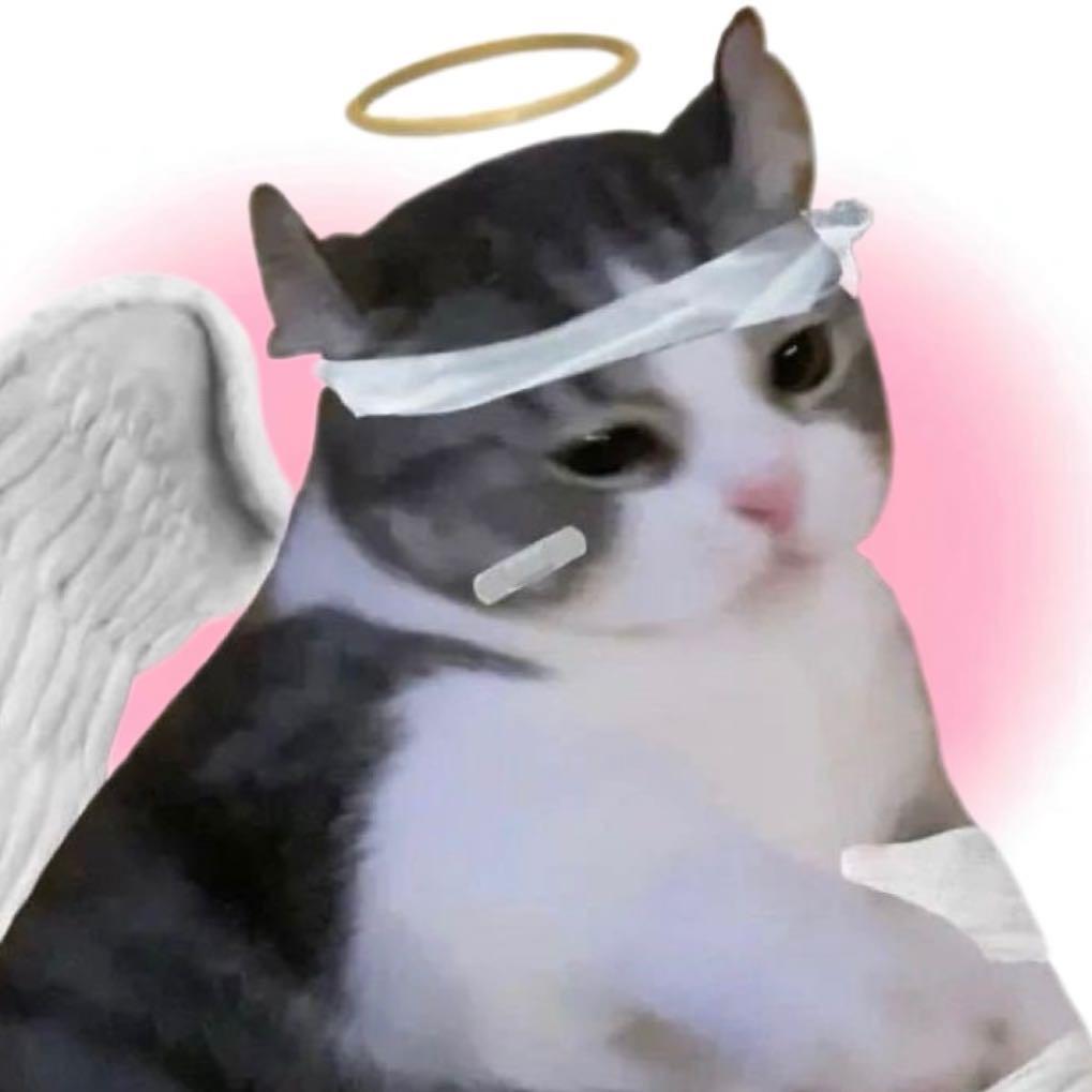 搬走猫猫头