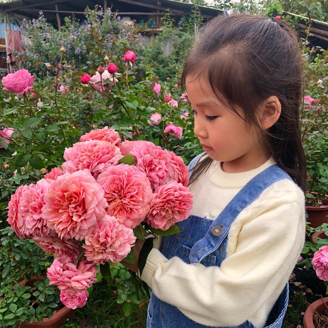 Cortney的楼顶花园